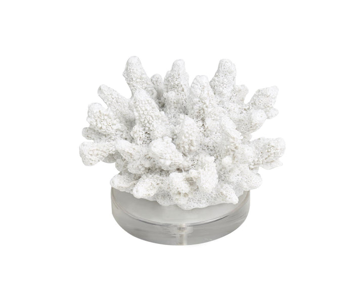 WHITE POLYSTONE CORAL SMALL TEXTURED SCULPTURE WITH CLEAR ACRYLIC BASE, 6" X 5" X 4"