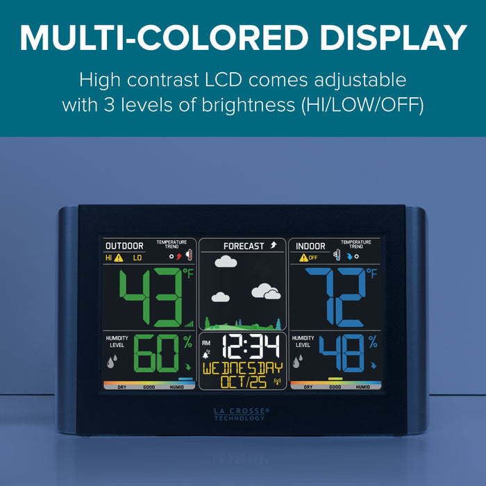 308-10847 Multi-Colored Display