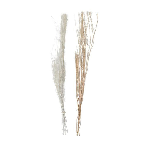 BROWN DRIED PLANT PIGEON PEA NATURAL FOLIAGE