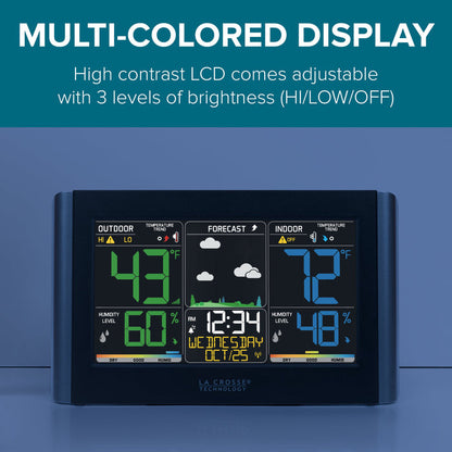 C85845V4 Multi-Colored Display