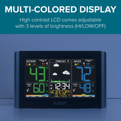 C85845V6 Multi-Colored Display