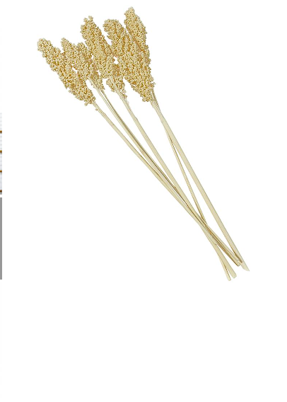 CREAM DRIED PLANT CORN MAZE NATURAL FOLIAGE WITH LONG STEMS,