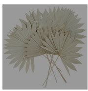 CREAM DRIED PLANT PALM LEAF HANDMADE LARGE SUN SPEAR NATURAL FOLIAGE, 20" X 3" X 29"