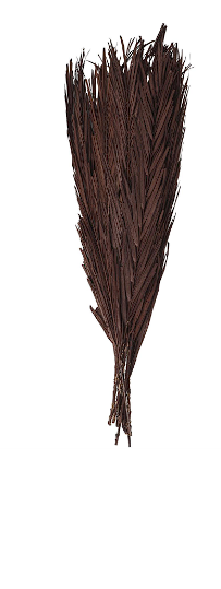 DARK BROWN DRIED PLANT PALM LEAF NATURAL FOLIAGE WITH FEATHER INSPIRED STEMS, 4" X 1" X 43"