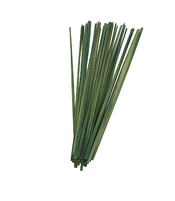 DRIED PLANT NATURAL FOLIAGE WITH SLENDER STEMS,