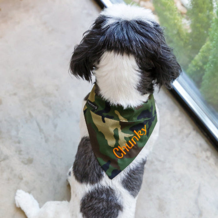 Fall Acorn Dog Bandana
