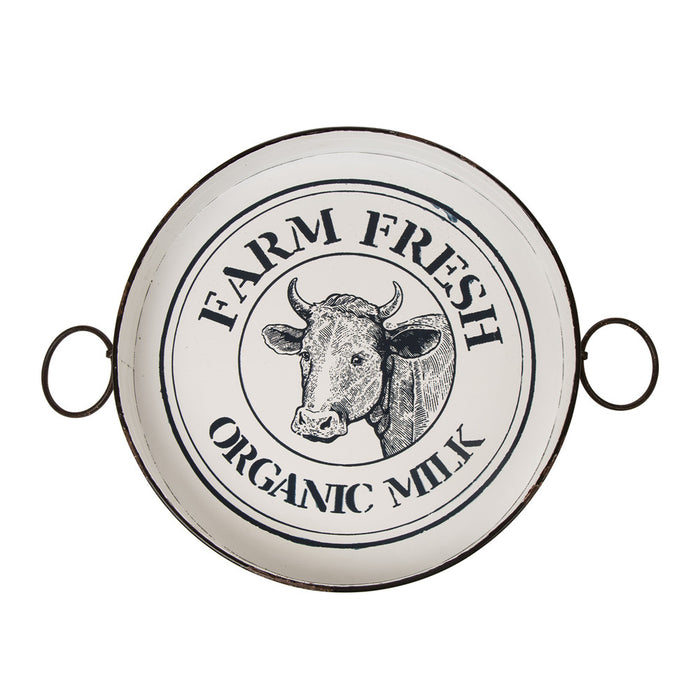 Farmhouse Metal Enamel Serving Tray Table