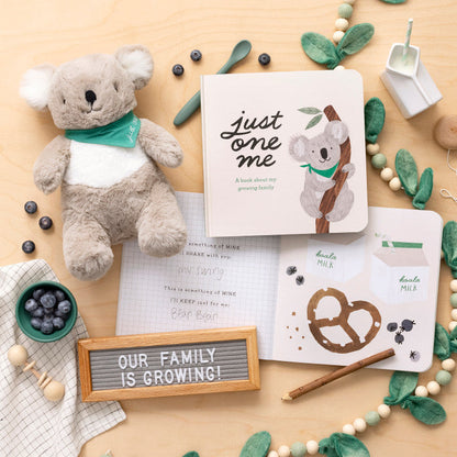 Just One Me- Sibling Kit with Plush Gift Set