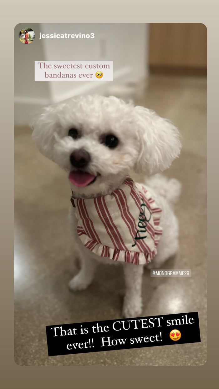 Lovingly Leopard Dog Bandana