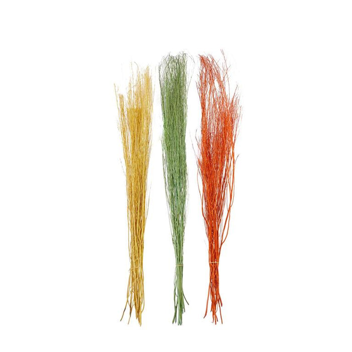 MULTI COLORED DRIED PLANT PIGEON PEA NATURAL FOLIAGE