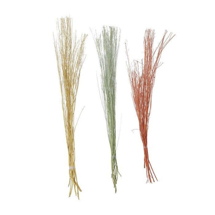MULTI COLORED DRIED PLANT PIGEON PEA NATURAL FOLIAGE