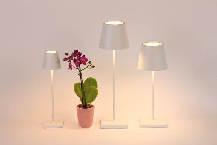 Poldina Pro Micro Lamp