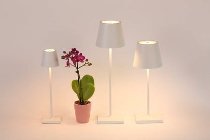 Poldina Pro Micro Lamp