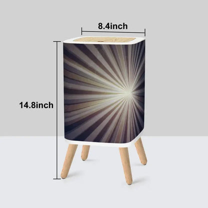 Retro Scandi Square Small Trash Can with Lid Sunburst Black White - One Size - retro tash cans