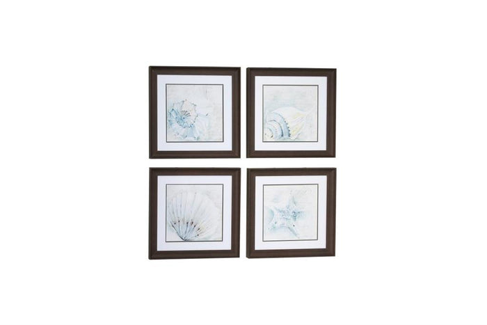 WHITE SQUARE SEA SHELL COASTAL WALL ART IN BROWN FRAMES