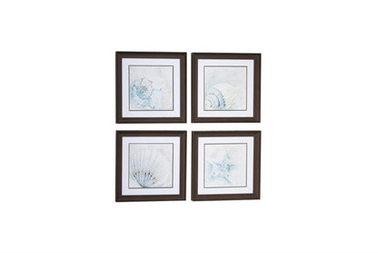 WHITE SQUARE SEA SHELL COASTAL WALL ART IN BROWN FRAMES