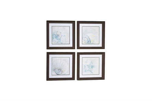 WHITE SQUARE SEA SHELL COASTAL WALL ART IN BROWN FRAMES