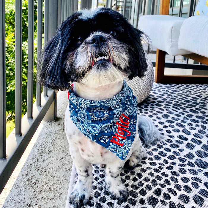 YeeHaw Bandana Print Dog Bandana