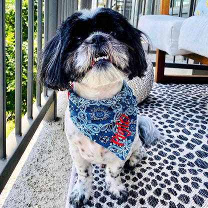 YeeHaw Bandana Print Dog Bandana